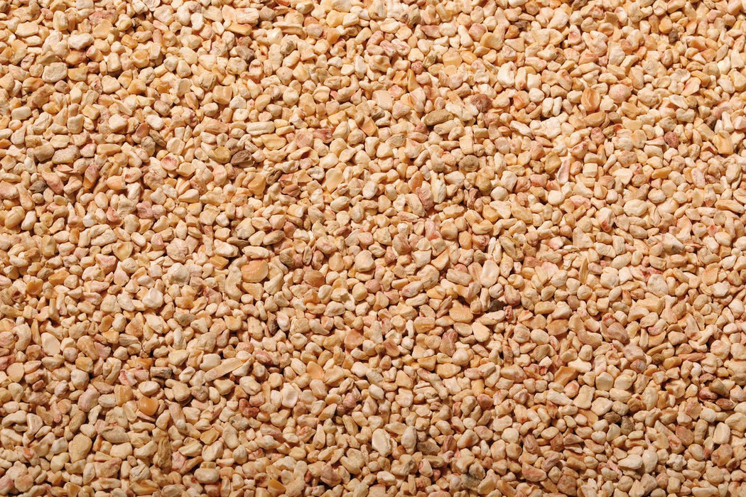 Bartscher - Bartscher Maisgranulat 3KG - GastroDeals