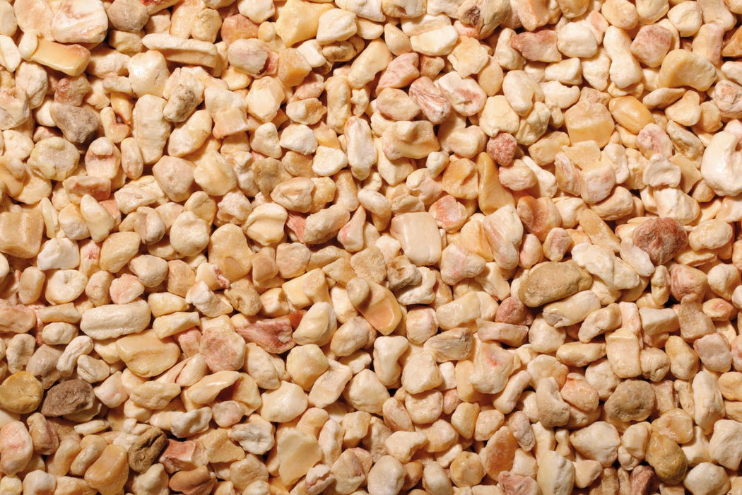 Bartscher - Bartscher Maisgranulat 3KG - GastroDeals