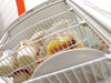 Bartscher - Bartscher Mini-Kühlvitrine 86L - GastroDeals