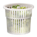 Bartscher - Bartscher Salatschleuder K1-25L - GastroDeals