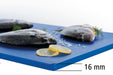 Bartscher - Bartscher Schneidbrett 60x40 B - GastroDeals