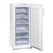 Bartscher - Bartscher Tiefkühlschrank 200LN - GastroDeals