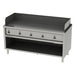Heidebrenner - Heidebrenner Gas Teppanyaki - Bratplatte HONSHU - 750 - Geriffelte Stahlplatte, 1760x750 mm, 29 kW, 5 Zonen - GastroDeals