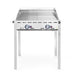 HENDI - Grillsystem Green Fire - 2 Brenner, Profi Line, 2 GN 1/1 Grillroste, 11,6kW, 740x612x825 mm - HENDI - GastroDeals