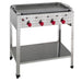 Neumärker - Gas - Kombi - Standbräter - 4 Brenner, Edelstahlgehäuse, 815x530x830 mm - Neumärker - GastroDeals