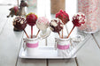 Neumärker - Twist Pop Backplattensatz für SWiNG - Backsystem - Antihaft, 6 Cake Pops, Ø 50 mm - Neumärker - GastroDeals