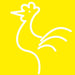 Stalgast - Stalgast Küchenmesser, HACCP, Griff gelb, Edelstahlklinge 22 cm - GastroDeals