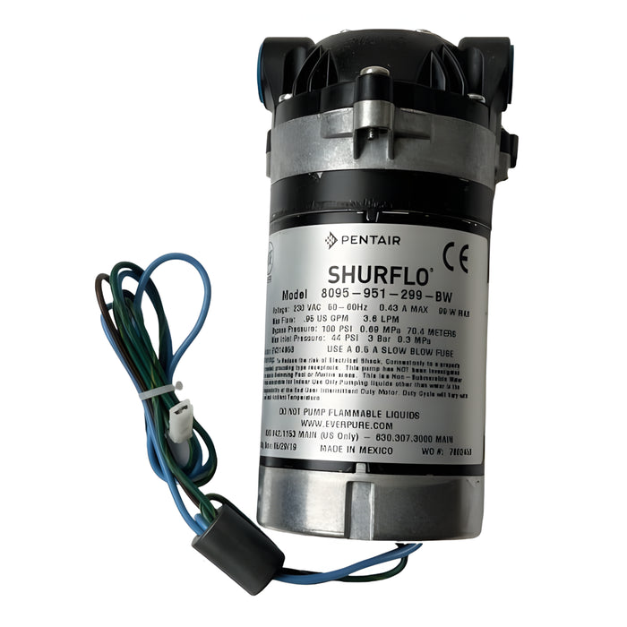 W.E. Blaschitz - SHURflo Pumpe, 230V, 100PSI Bypass 8095-951-299-BW - GastroDeals