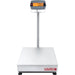 OHAUS - Lagerwaage, geeicht, Kapazität 300 kg, Teilung 100g - GastroDeals