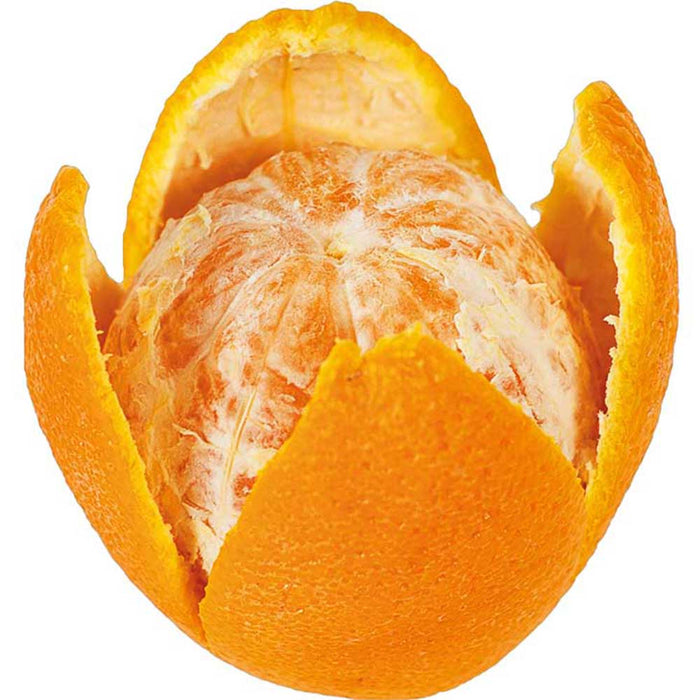Stalgast - Orangenschäler - GastroDeals