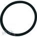 W.E. Blaschitz - Container-O-Ring für Deckel - GastroDeals