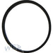W.E. Blaschitz - Dichtung zu Einschraub-Fitting für Keg Rechteckring 42 x 46 x 2,6 - GastroDeals