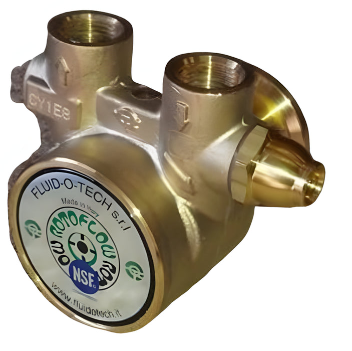 W.E. Blaschitz - Fluid-o-Tech-Pumpe, 300 Liter, Messing, 2 x IG 3/8" NPT (oh.Sieb) - GastroDeals
