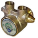 W.E. Blaschitz - Fluid-o-Tech-Pumpe, 300 Liter, Messing, 2 x IG 3/8" NPT (oh.Sieb) - GastroDeals
