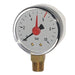 W.E. Blaschitz - Manometer 1/4" / d 50 / 0-10bar / roter Strich bei 6 bar - GastroDeals