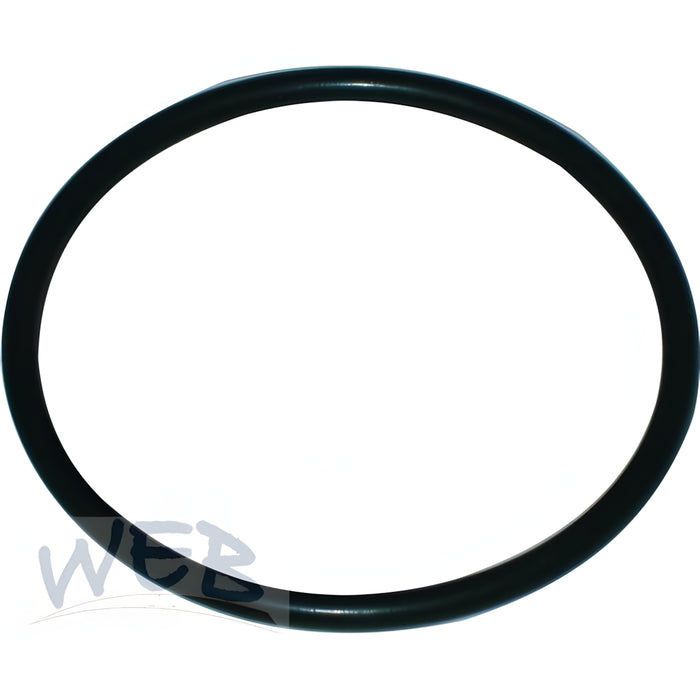 W.E. Blaschitz - O-RING groß zu Karbonationstester - GastroDeals