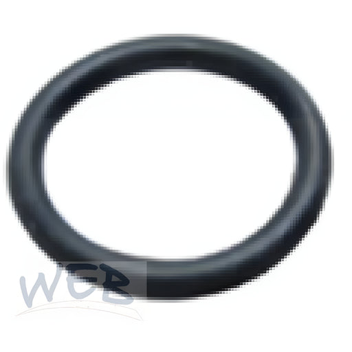 W.E. Blaschitz - O-Ring im Gehäuse, 22mm, zu Korb-Zapfkopf MicroMatic - GastroDeals