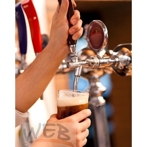 W.E. Blaschitz - WEB-X5F5 WLAN Getränkezählerset 5-ltg. / FFC50 Flowmeter - GastroDeals